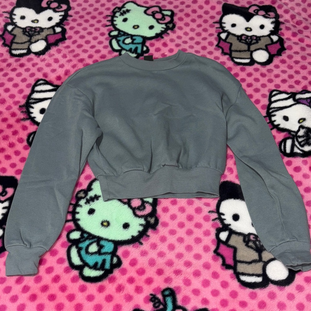 Wild Fable Dusty Blue Crop Sweatshirt